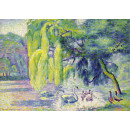 РЕПРОДУКЦИИ НА КАРТИНИ Семейство лебеди (1900)